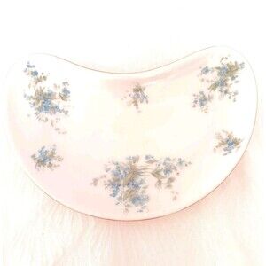 Vtg Schwarzburg Germany Porcelain Crescent Bone Dish Forget Me Not Blue Flowers